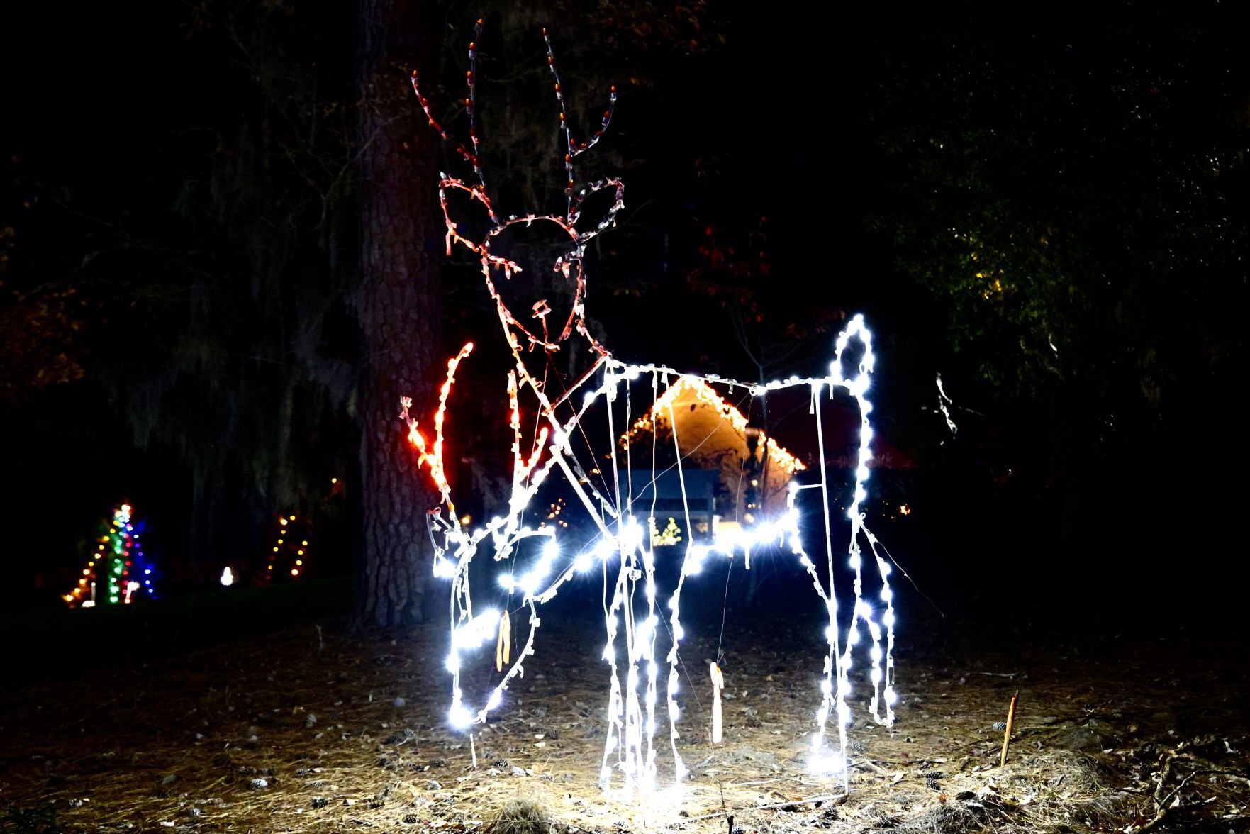 Orangeburg Christmas Lights